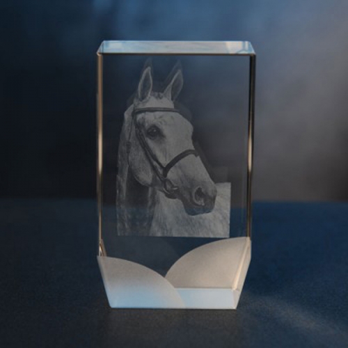 3D horse figures laser etched inside crystal cube