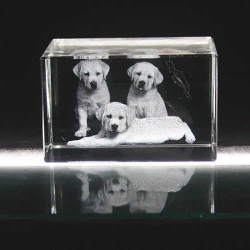 dogs pets memorial 3D photo crystal gifts