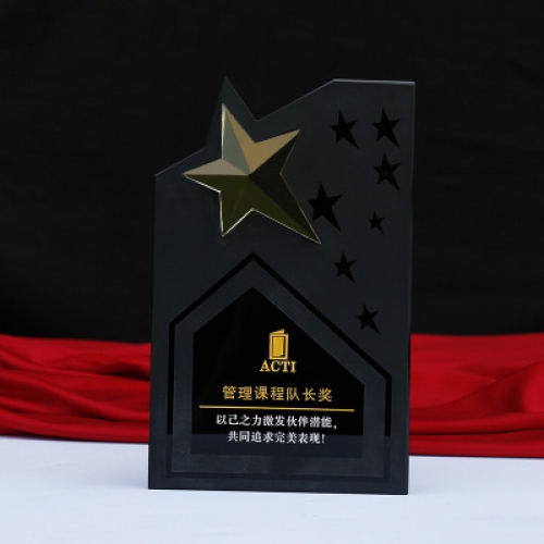 personalized laser etched black glass star plaque awards