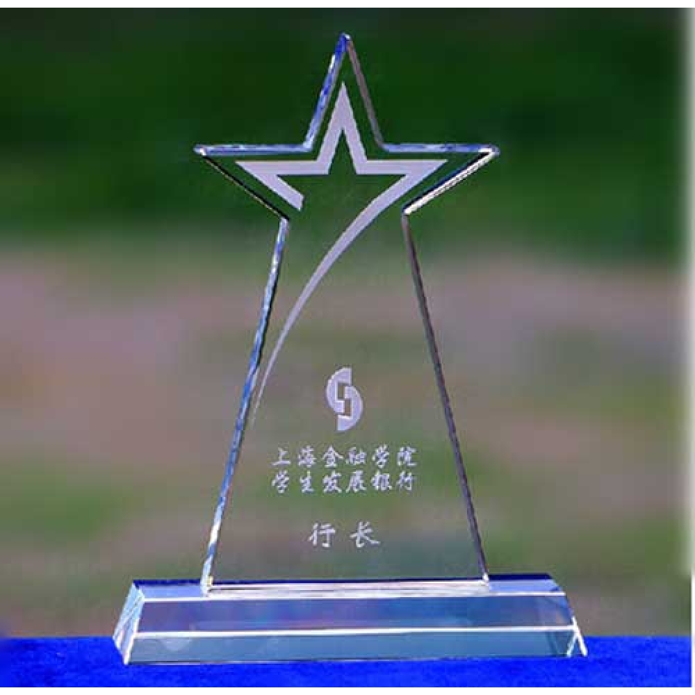 3D laser etched Star Crystal Leader Trophy