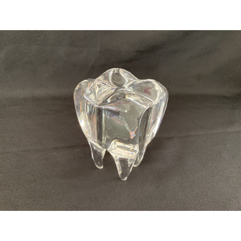 casting crystal dental 3D teeth model