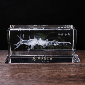 bespoke artwork replica 3d laser inside crystal cube