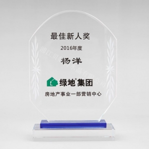 bespoke crystal glass best newcomer awards for real estate employees