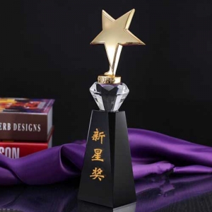 custom etched metal star crystal awards on black glass pedestal