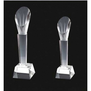 Custom Design Discount Horseshoe Glass Award